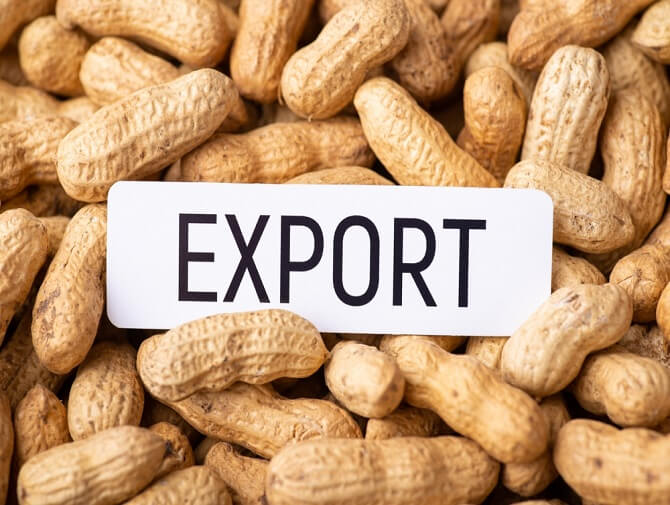 How governance, government, and diplomacy gave us the peanut trade routes of today