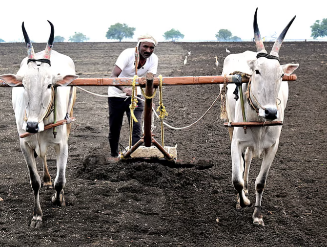 High input costs hit Karnataka farmers ahead of sowing season