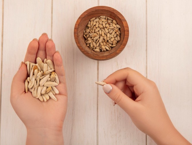 What to Look for in a Reliable Sunflower Seeds Supplier for Bird Feed