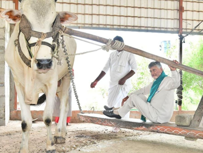 Naidu pats tenant farmer for adopting natural farming methods