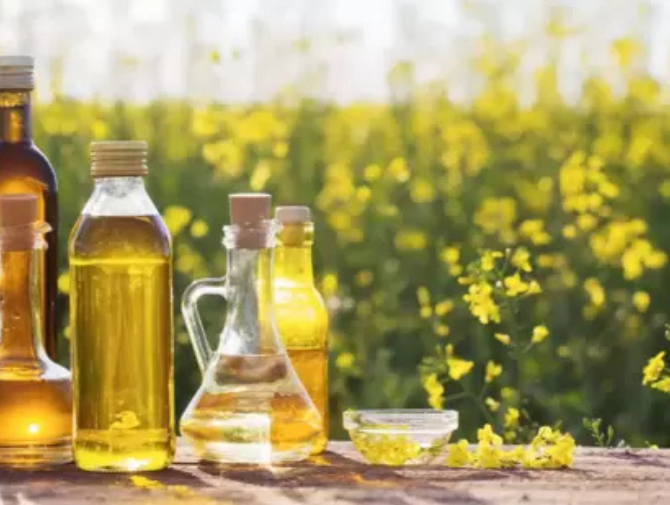 Best and worst cooking oils revealed: Hyderabad oncologist gives ghee 9/10, refined sunflower oil gets a ‘big zero’.&nbsp;