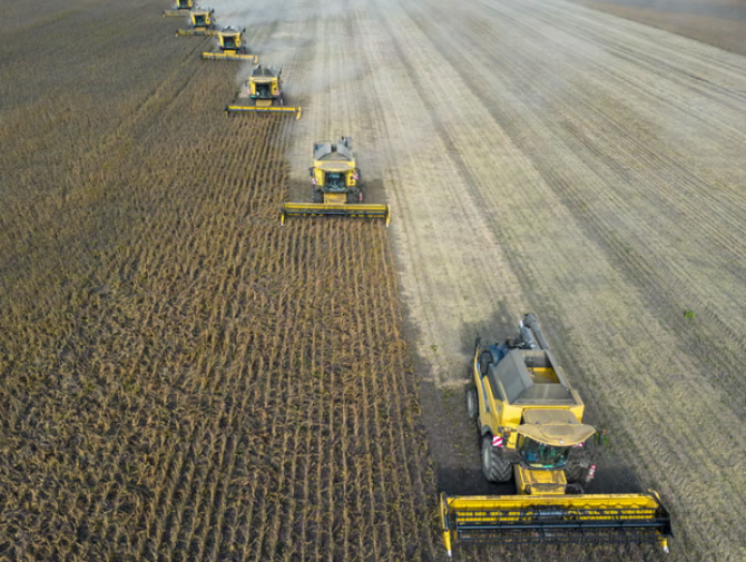 ‘Super’ El Niño could cause global food price shock lasting into 2028, analysts say.