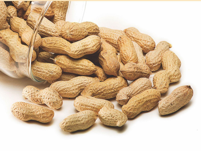 India’s groundnut trade stretches from Rs 4,000 to Rs 13,970.