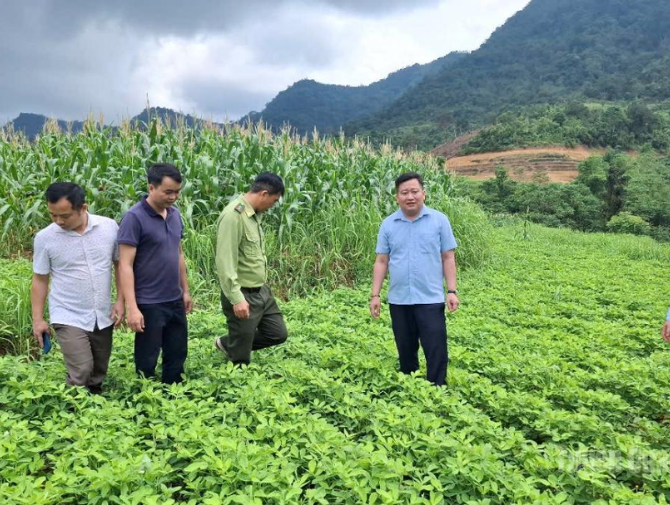 Thuong Nong awakens the potential of the highlands.