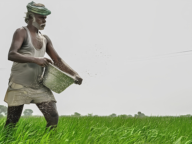 Kharif Harvest Outlook: Strong prices expected for most crops, except Bajra and Moong