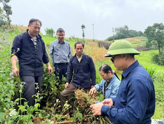 Lung Cu opens up a path to poverty reduction by leveraging local advantages.