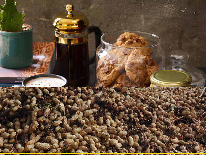 Meridian Foods promotes new peanut butter varient with pop-up cafe