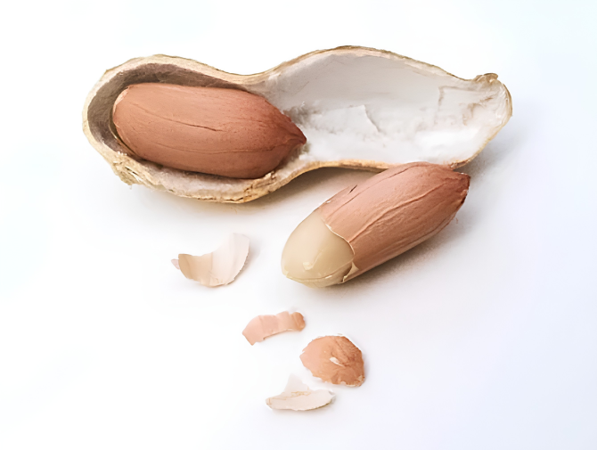 Peanut Pan-Genome Study Uncovers Gene Behind 20% Yield Boost in Dense Planting