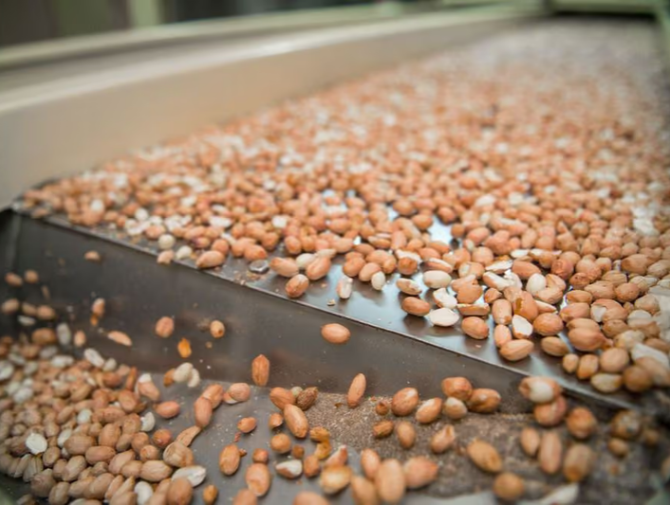 Peanut Milling Grew 30.7% Between January and August