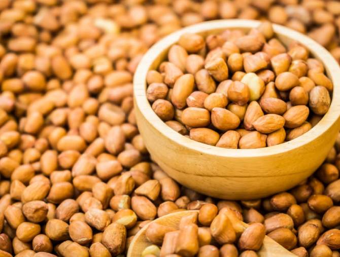 How Importers Can Calculate the True Landed Cost of Bulk Peanuts