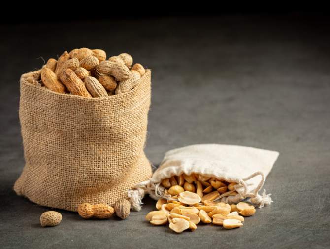 What to Look for in a Peanut Exporter for Long-Term Supply Contracts