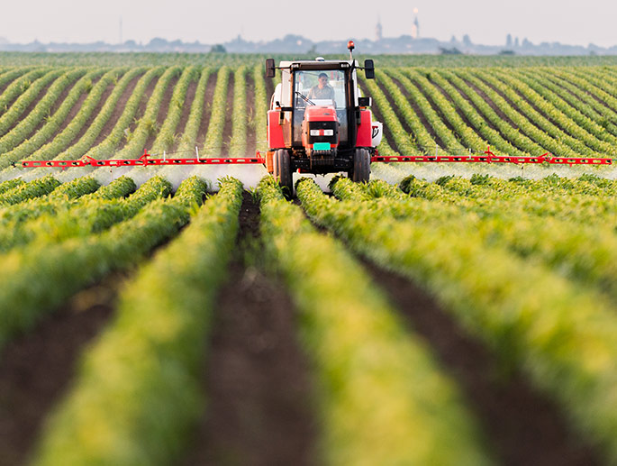 As one of the largest peanut importer in UAE and peanut supplier throughout the world, we take our environmental responsibility seriously.