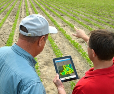 High-frequency satellite imagery provides broad field coverage, helping us track productivity and advise growers.