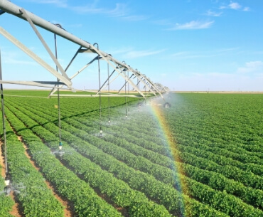 64%的零食制造商会购买以灌溉种植的花生，然而成本却高达 10%。