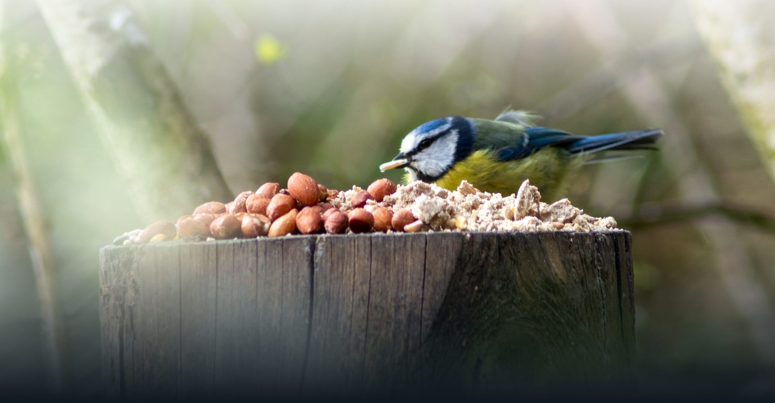 Alimentación de aves y animales