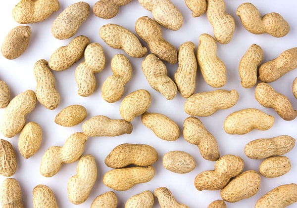 Best-Spanish-peanut-variety-for-confectionary-applications-among-sixty-origins1