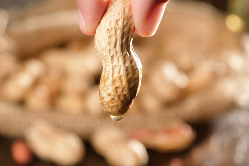 best-peanut-varieties-for-premium-peanut-oil5