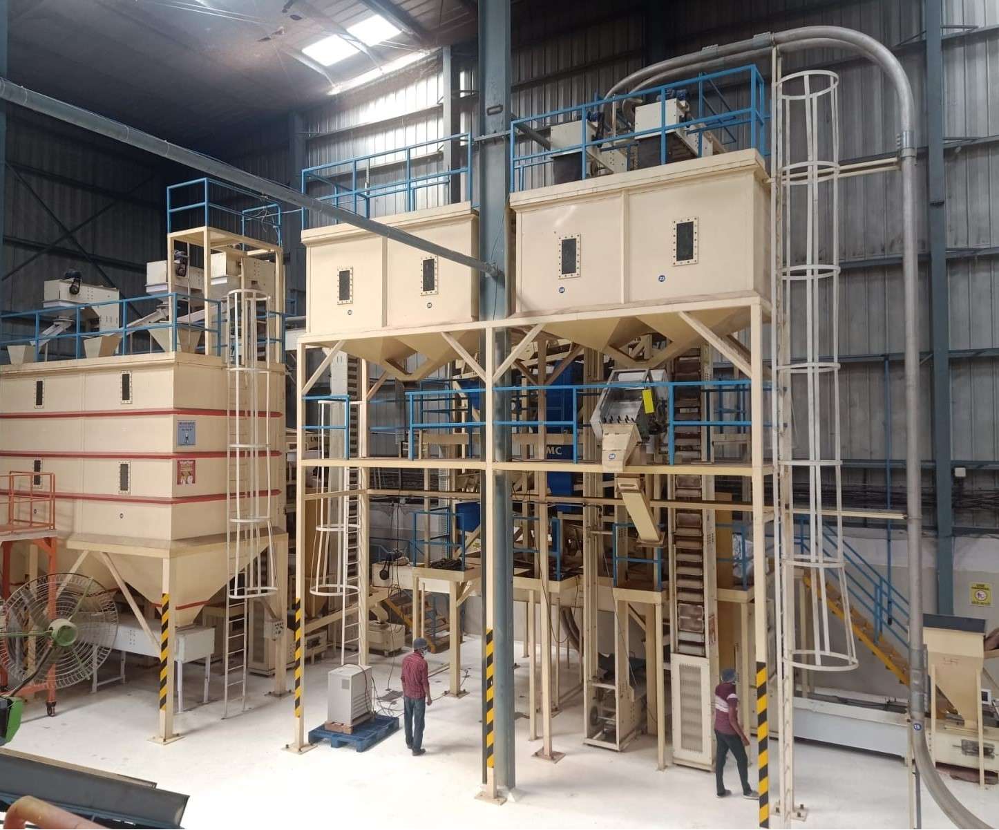 Peanut Supplier for EU, Asia & Africa | Groundnut Exporter to Argentina ...
