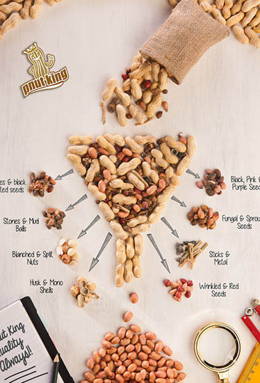 Agrocrops launches Pnutking branding, the highest benchmark for raw peanut ingredients