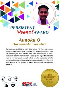 El premio “Persistent Peanut [Cacahuete Persistente]”. 