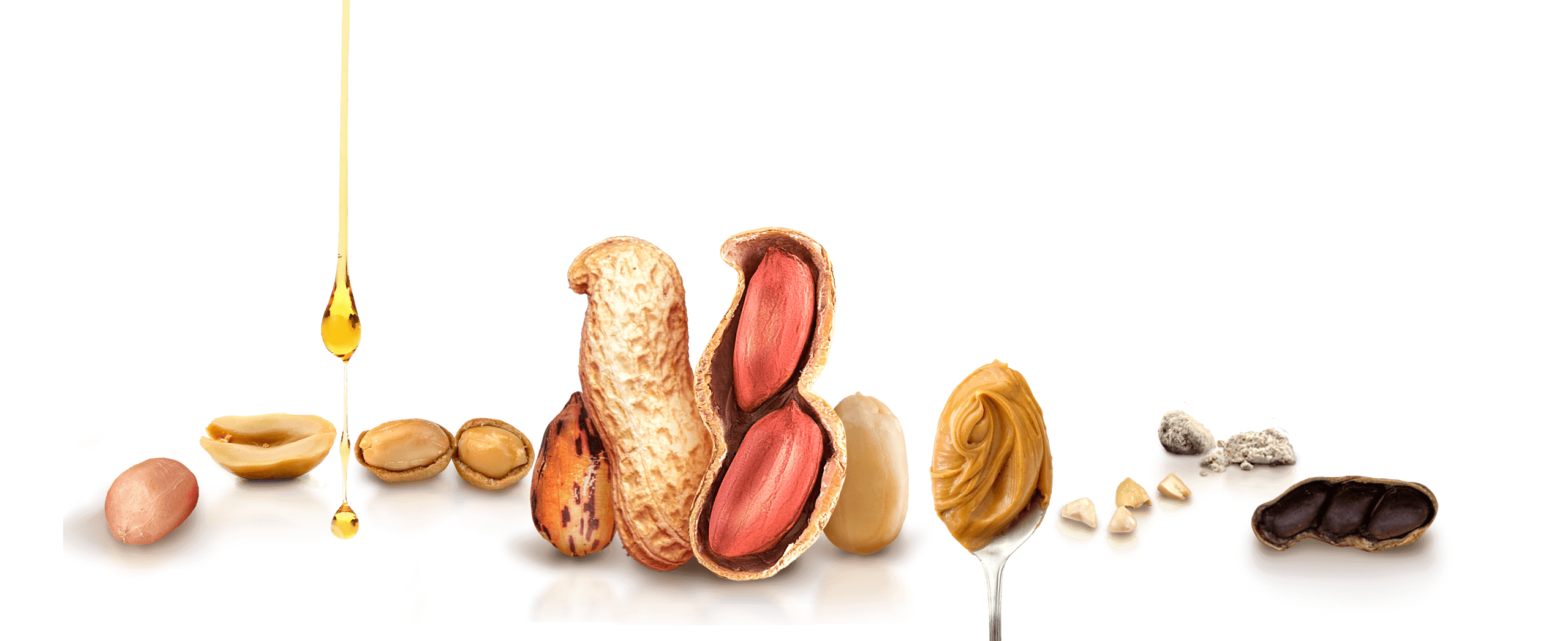 Every peanut product you can dream of